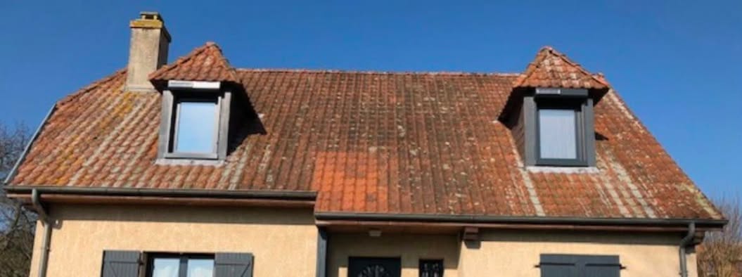 Dach vorher und nachher – DachFox Reinigung